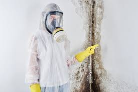 Biohazard Mold Removal